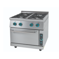 Gas / Electric Burners