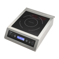 Induction Cooker